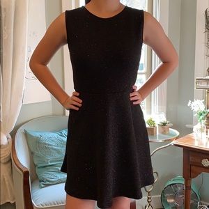 NWT Sparkly A-Line Dress
